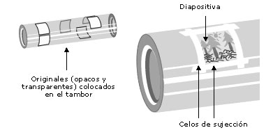 cilindorexploracion